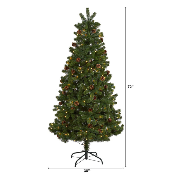 6' Rocky Mountain Spruce Artificial Christmas Tree with Pinecones and 250 Clear LED Lights