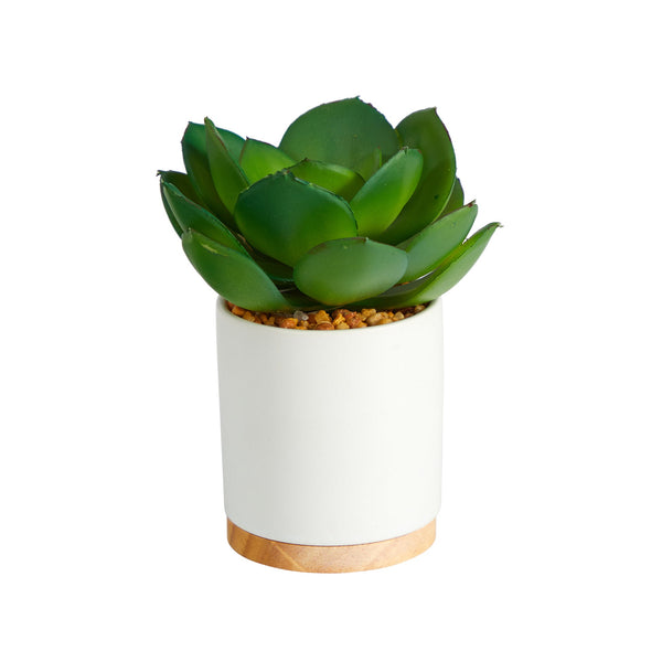 6” Succulent Artificial Plant in White Ceramic Planter