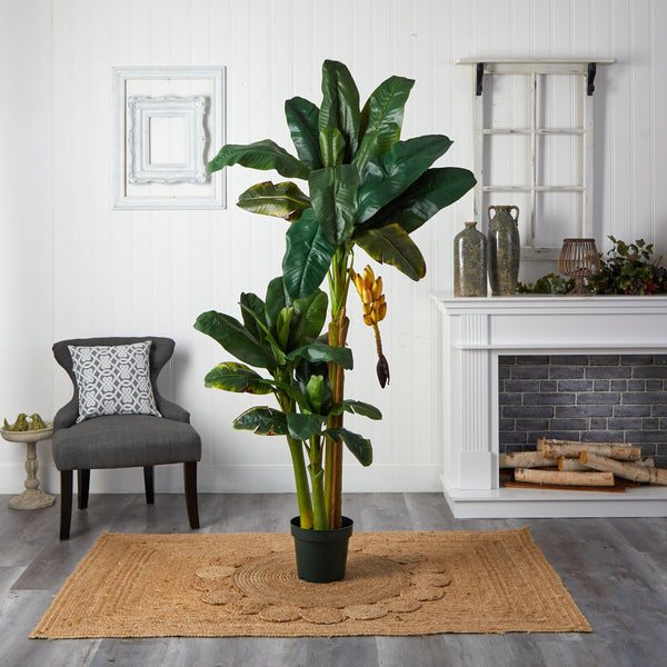 6' Triple Stalk Banana Silk Tree