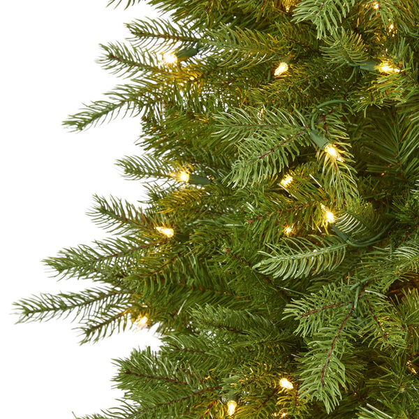 6' Vienna Fir Artificial Christmas Tree with 400 Warm White Lights and 843 Bendable Branches