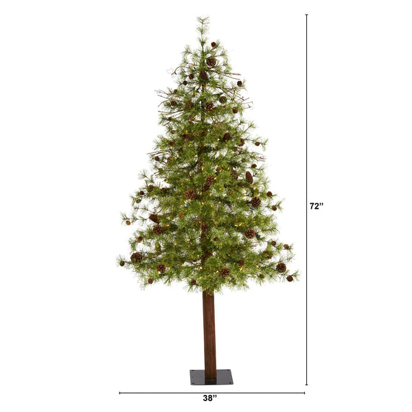 6' Wyoming Alpine Artificial Christmas Tree with 150 Clear (multifunction) LED Lights and Pine Cones on Natural Trunk