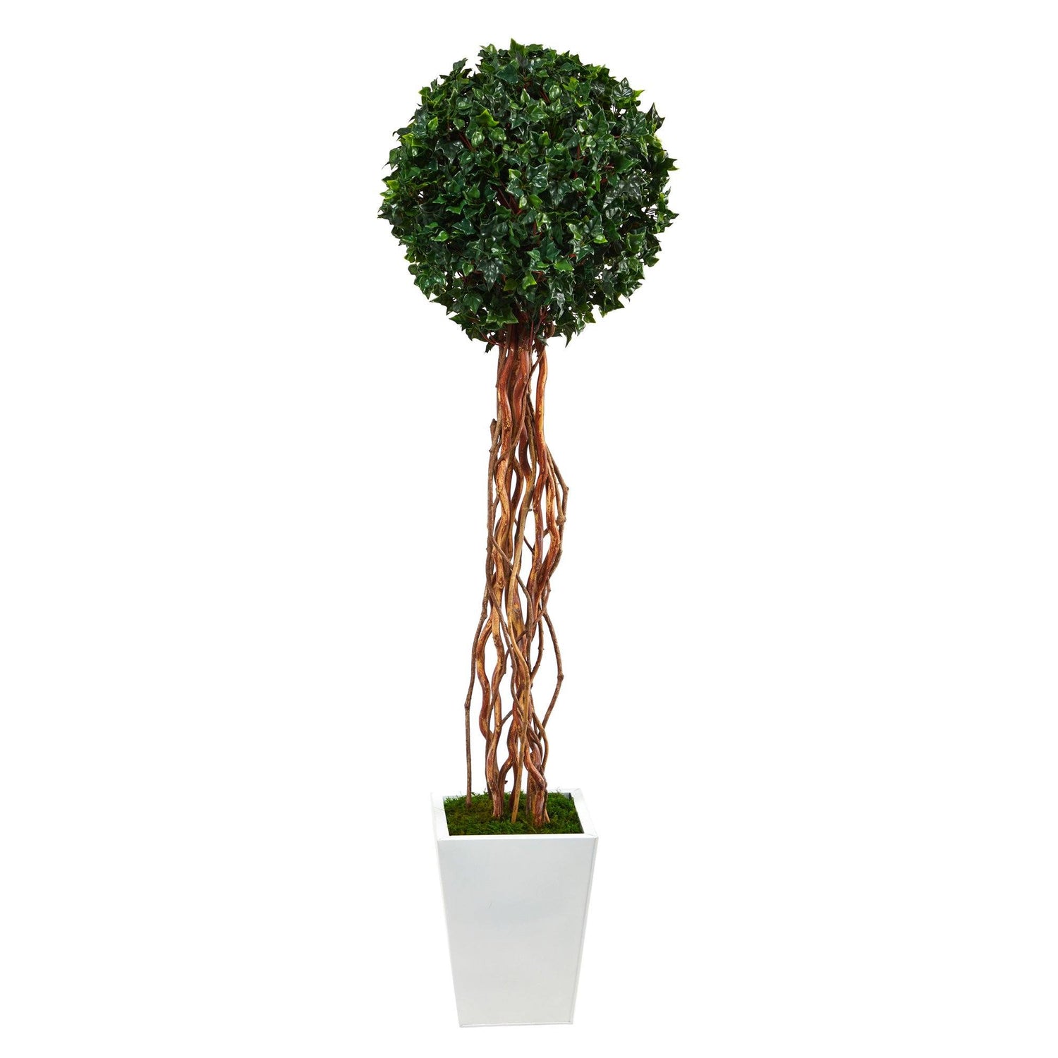 62” English Ivy Single Ball Artificial Topiary Tree in White Metal Planter (Indoor/Outdoor)