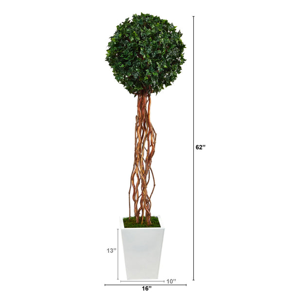 62” English Ivy Single Ball Artificial Topiary Tree in White Metal Planter (Indoor/Outdoor)