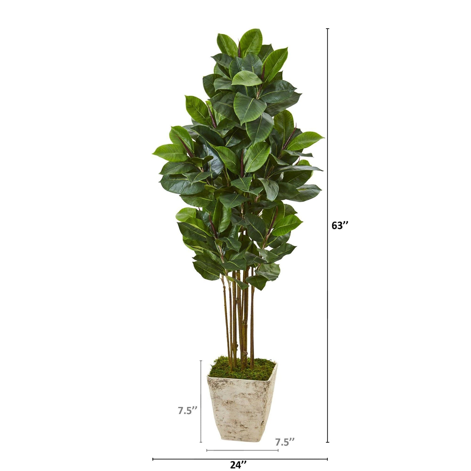 63” Rubber Leaf Artificial Tree in Country White Planter