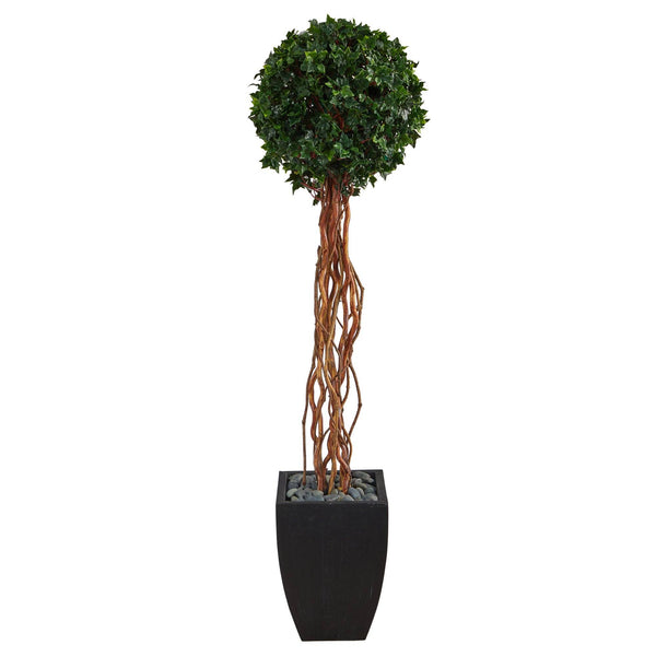 64” English Ivy Single Ball Artificial Topiary Tree in Black Planter (Indoor/Outdoor)