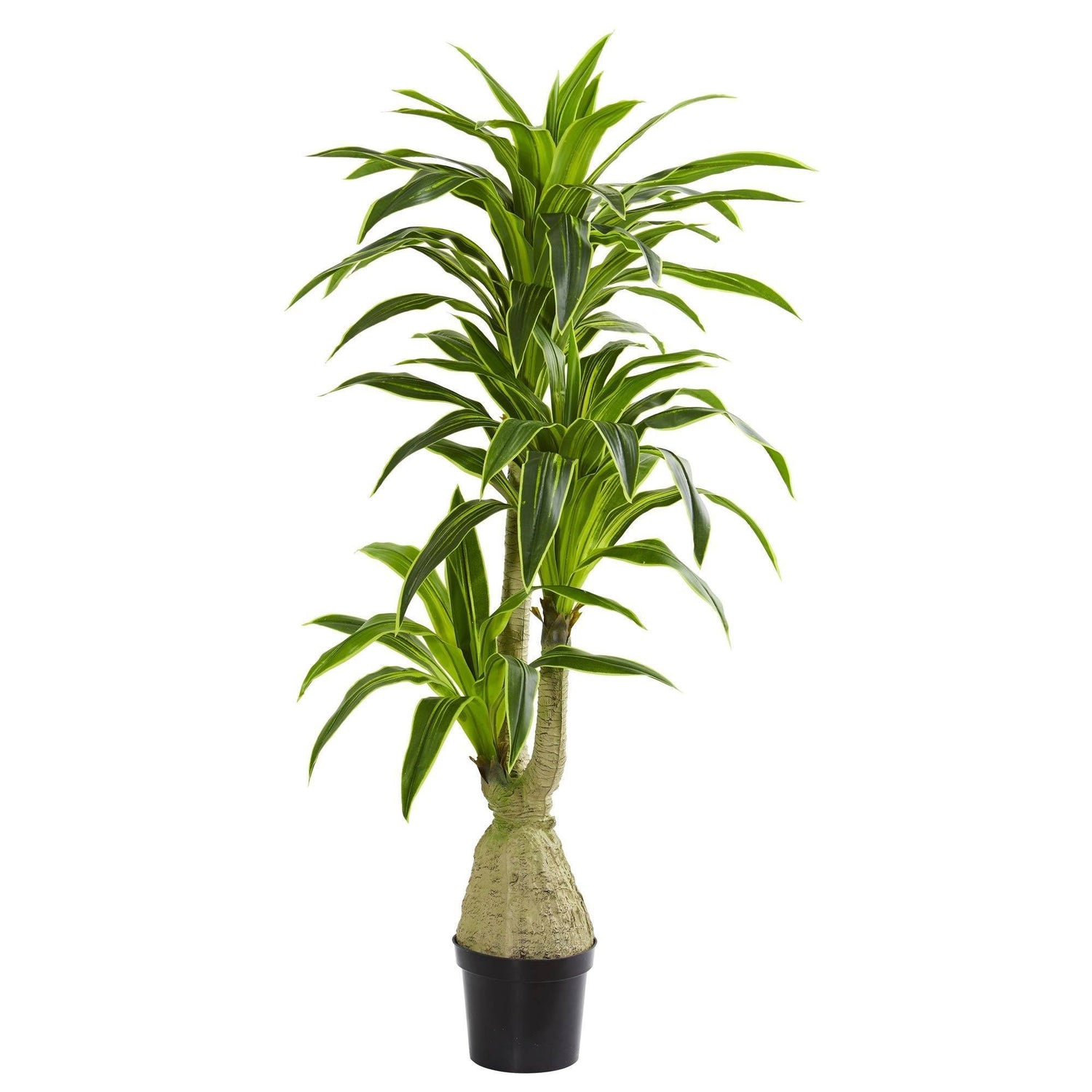 6.5' Dracaena Artificial Plant