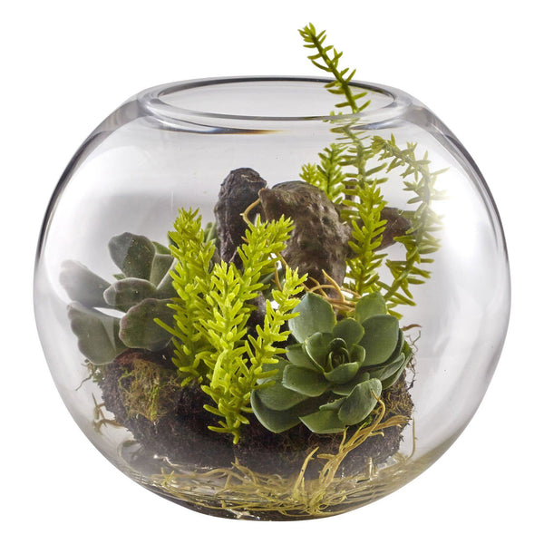 6.5” Mix Succulent Garden w/Glass Vase