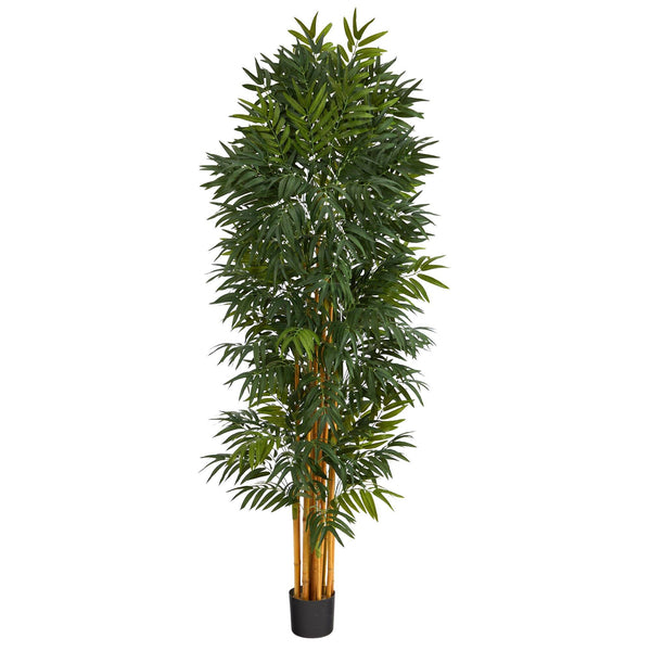 6.5’ Phoenix Palm Artificial tree with Natural Trunk