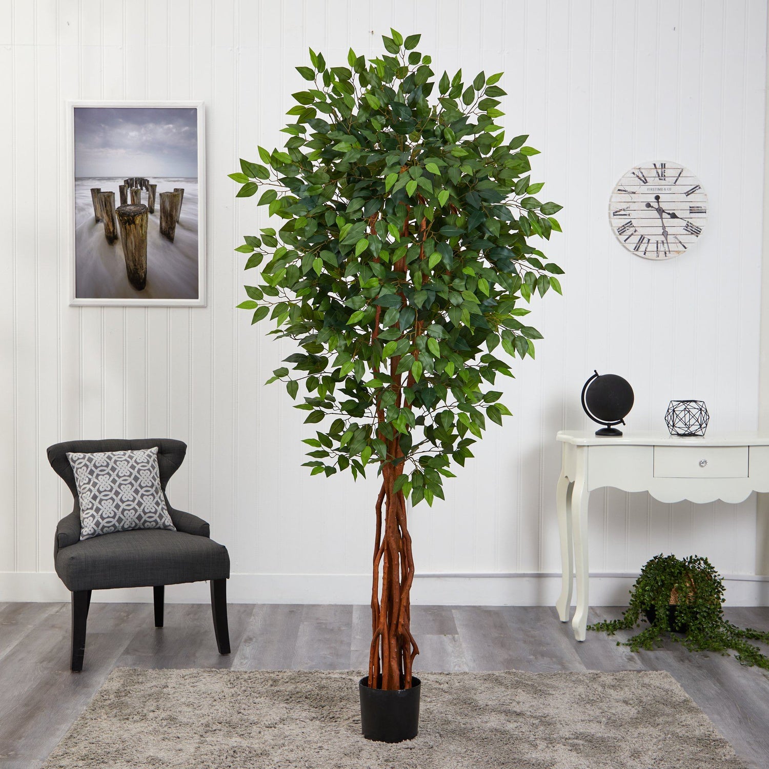 6.5’ Super Deluxe Ficus Artificial Tree with Natural Trunk