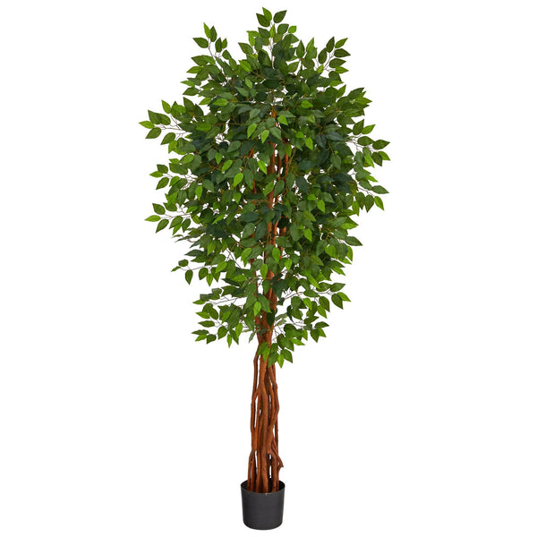 6.5’ Super Deluxe Ficus Artificial Tree with Natural Trunk