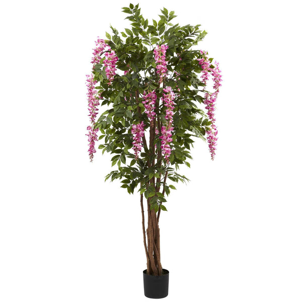 6.5’ Wisteria Silk Tree