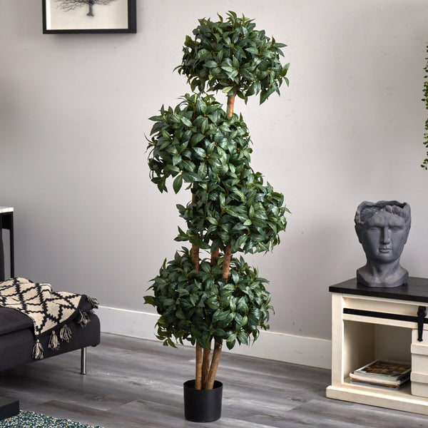 69" Sweet Bay Topiary w/4 Balls Silk Tree"