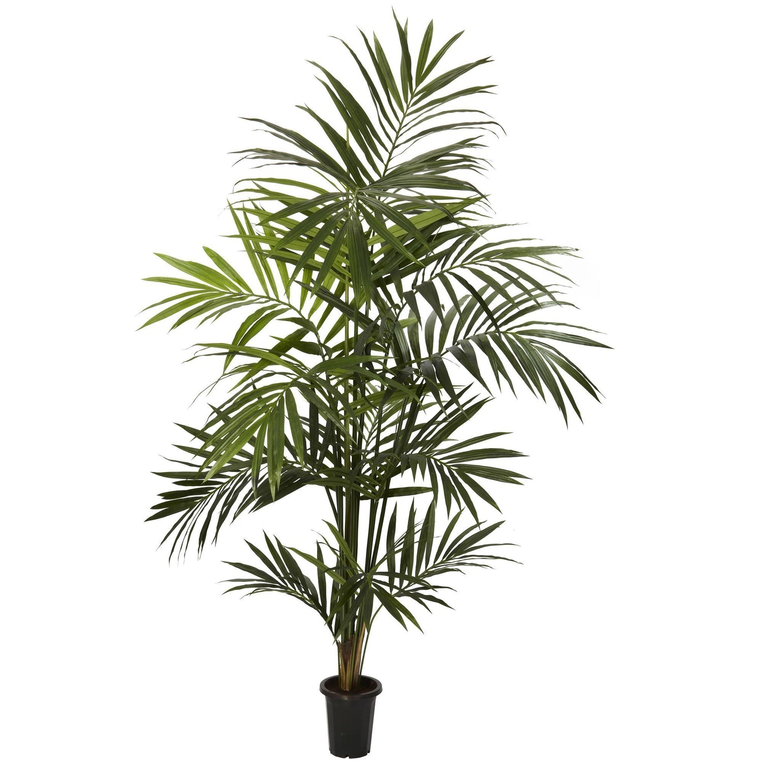 7' Artificial Kentia Palm Silk Tree Bunched