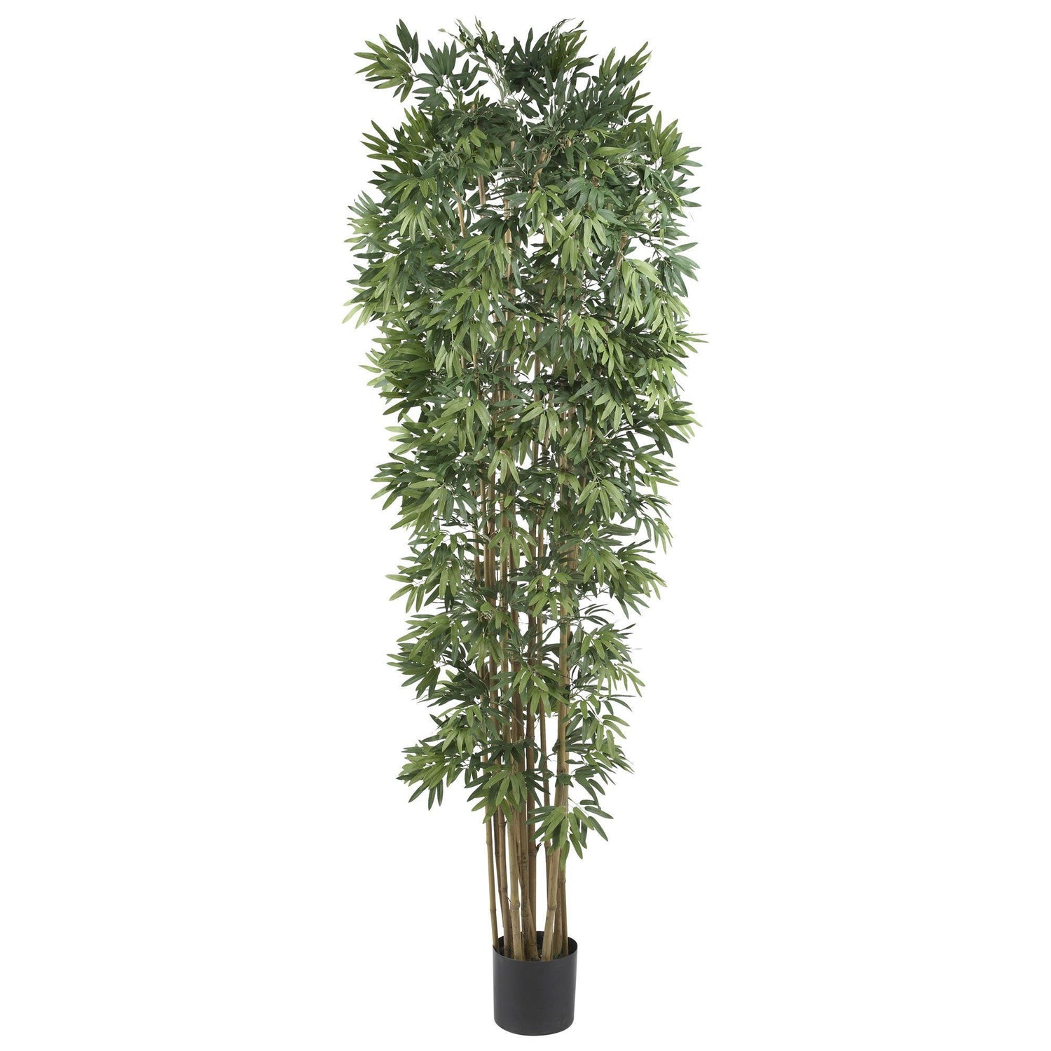 7' Bamboo Japanica Silk Tree