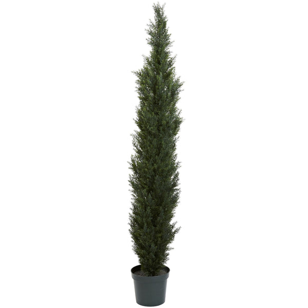 7' Mini Cedar Pine Tree w/3614 Tips in 12” Pot (Two Tone Green)