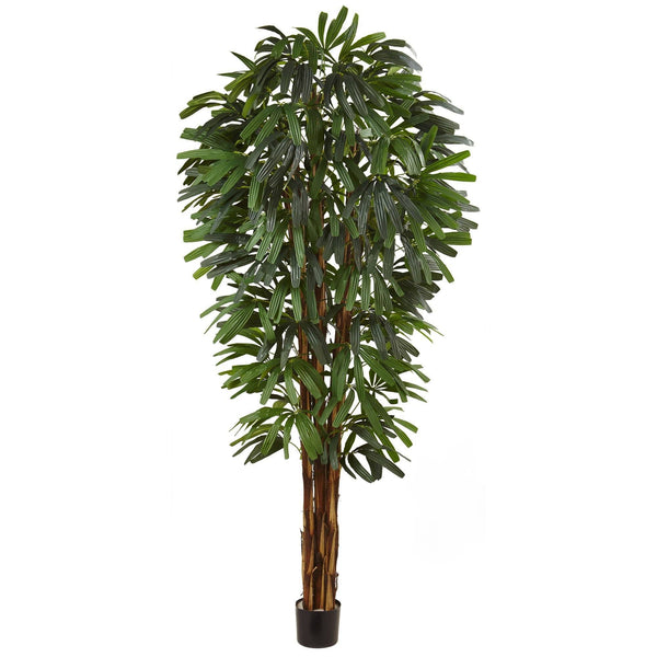 7' Raphis Silk Palm Tree