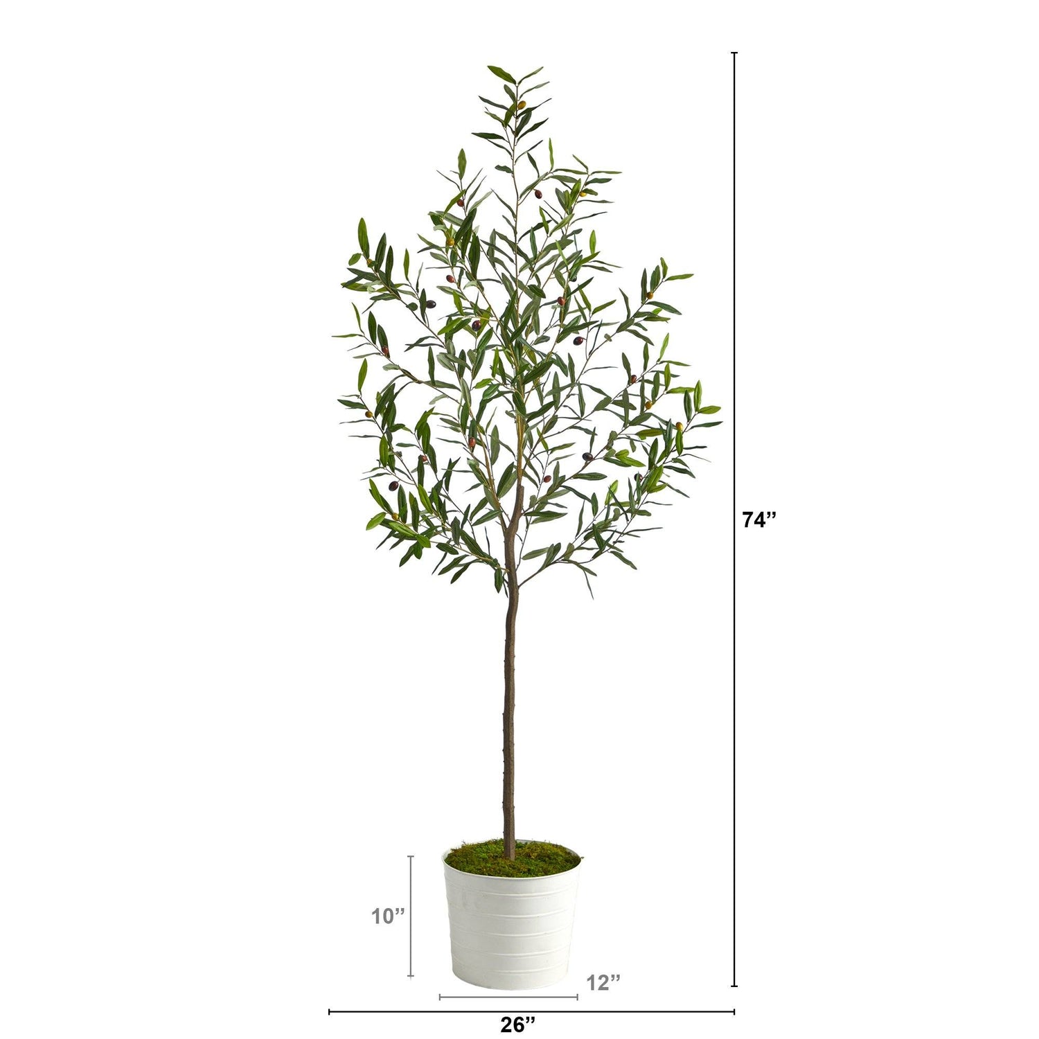 70” Olive Artificial Tree in White Tin Planter