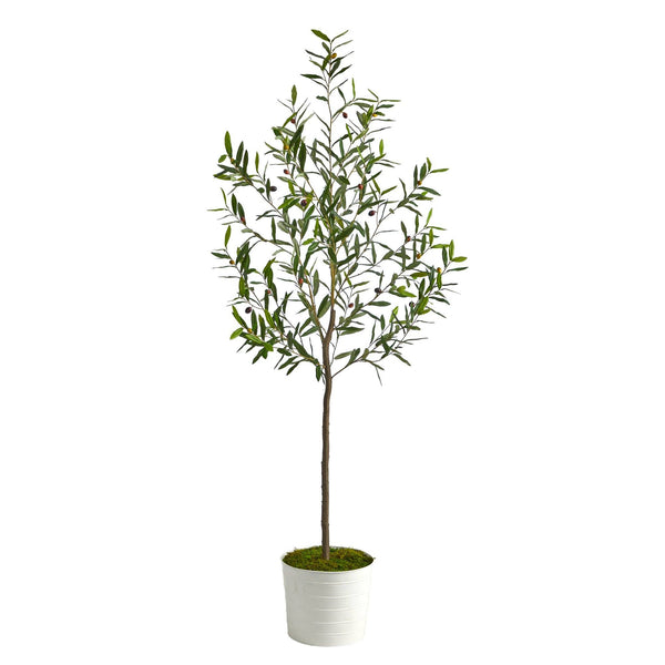 70” Olive Artificial Tree in White Tin Planter