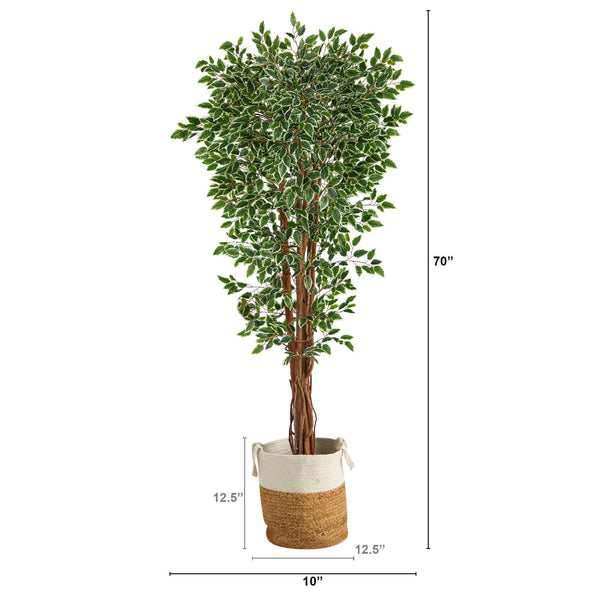 70” Variegated Ficus Tree in Handmade Jute and Cotton Planter UV Resistant (Indoor/Outdoor)