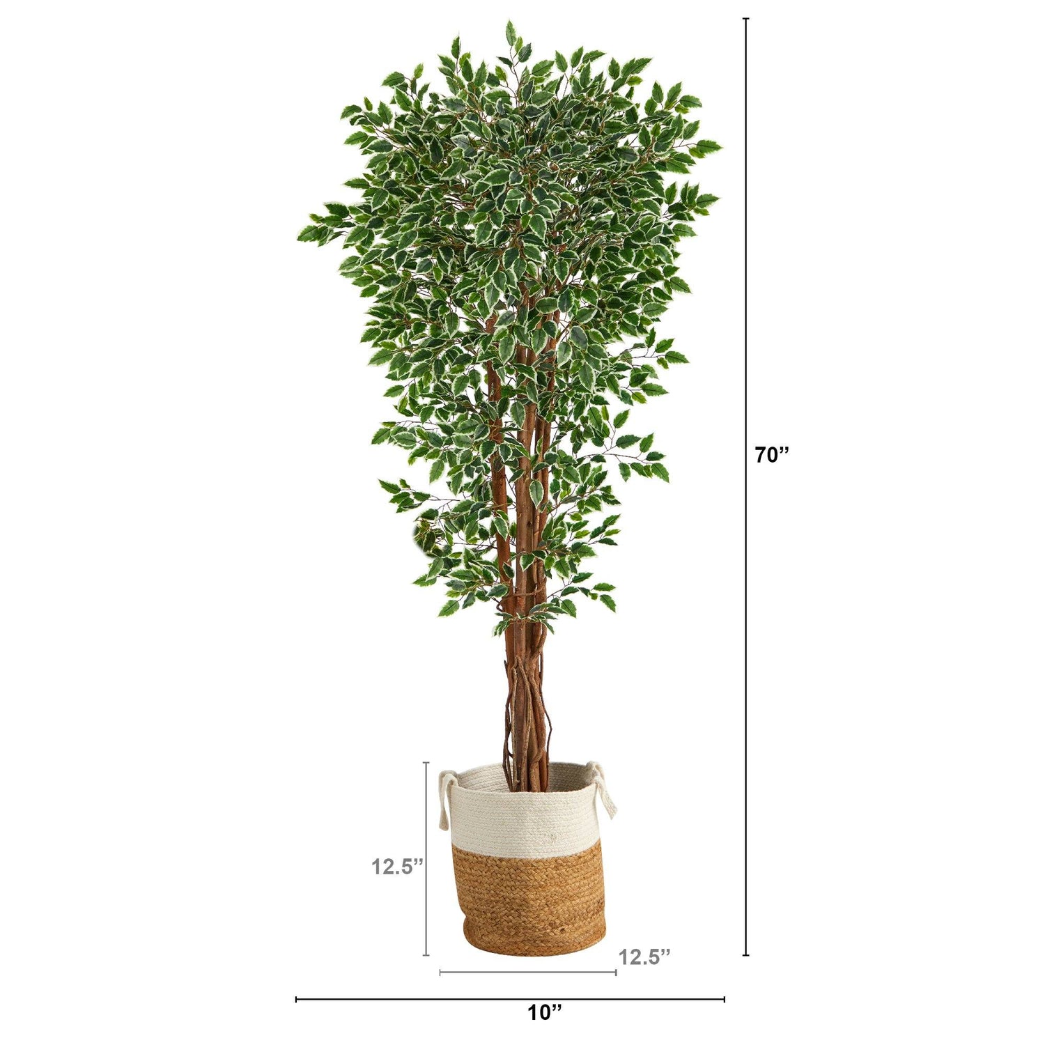 70” Variegated Ficus Tree in Handmade Jute and Cotton Planter UV Resistant (Indoor/Outdoor)