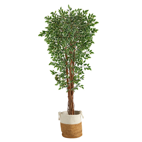 70” Variegated Ficus Tree in Handmade Jute and Cotton Planter UV Resistant (Indoor/Outdoor)