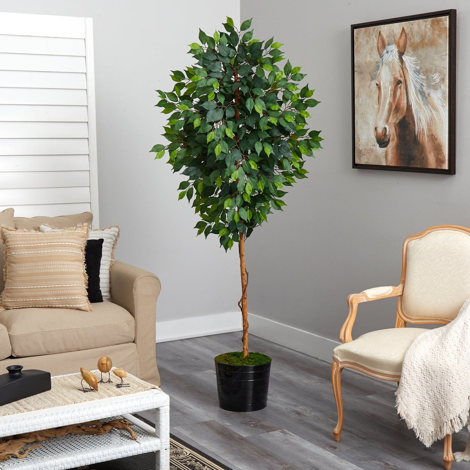 74” Ficus Artificial tree in Black Tin Planter