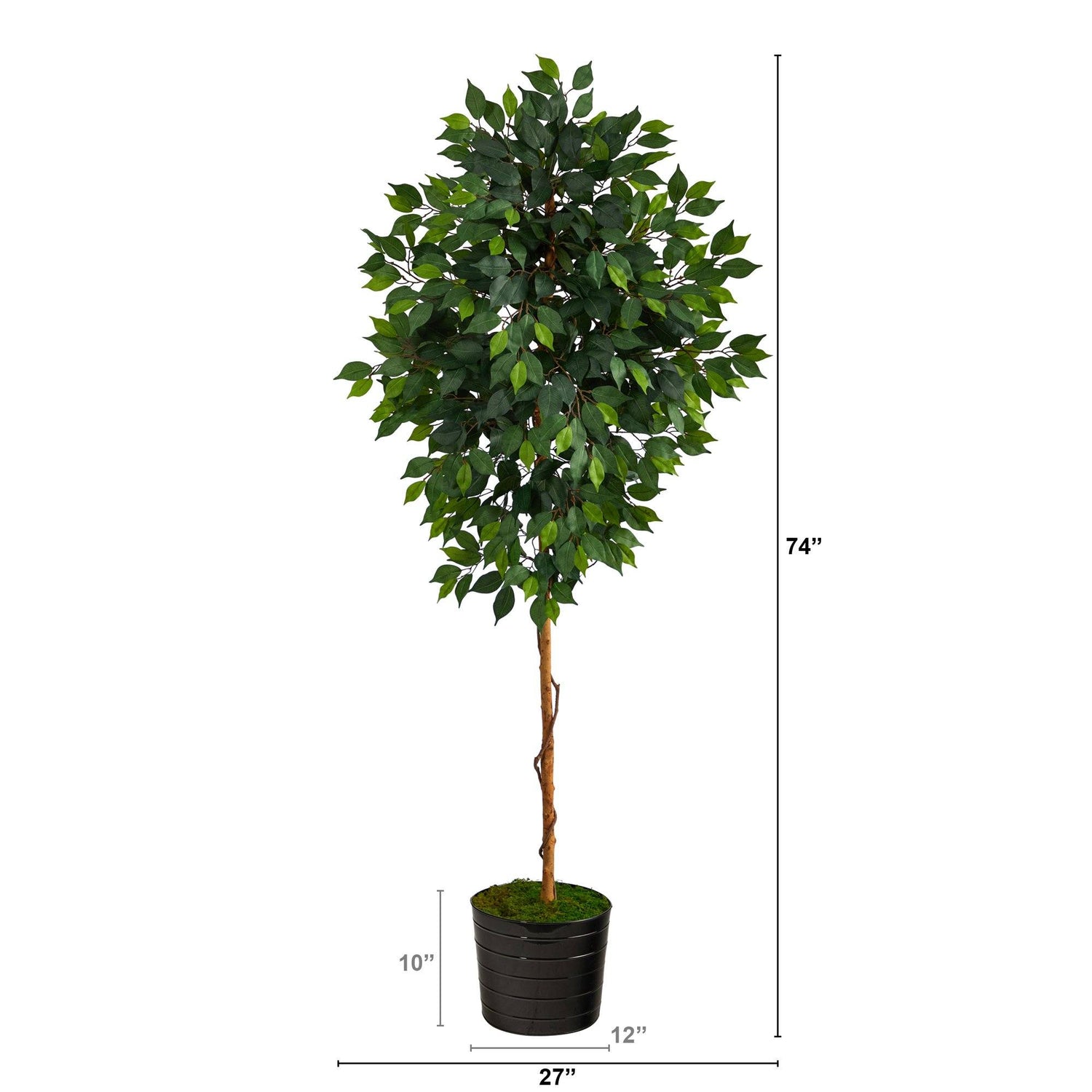 74” Ficus Artificial tree in Black Tin Planter