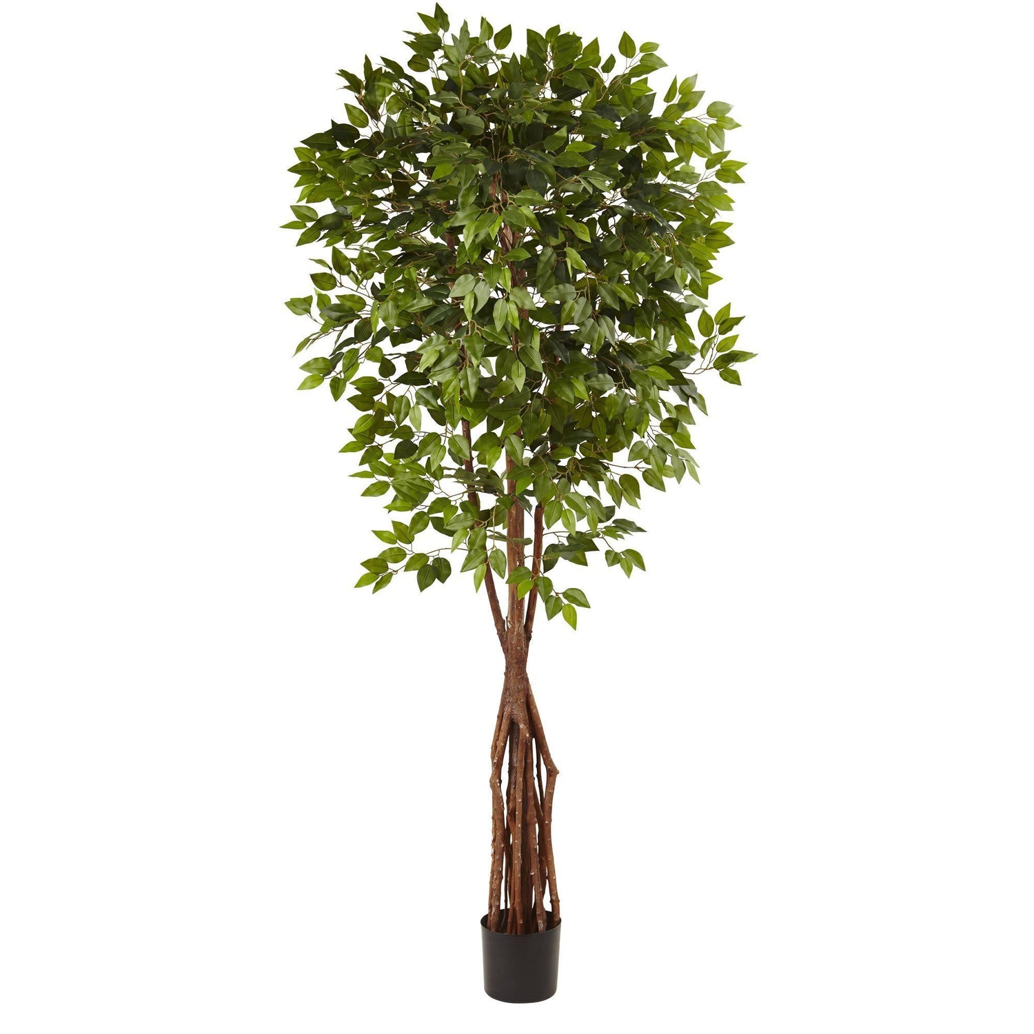 7.5’ Super Deluxe Ficus Tree