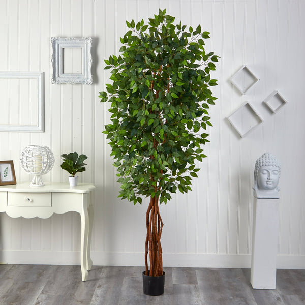 7.5’ Super Deluxe Ficus Tree