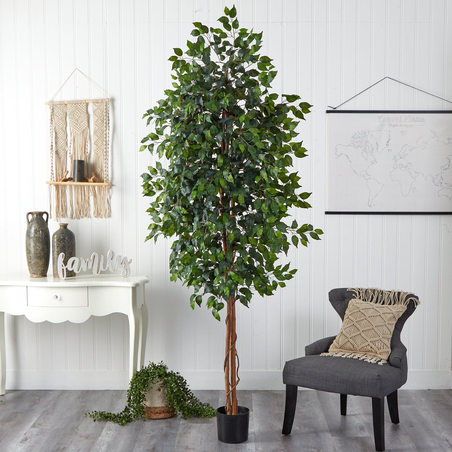 8’ Ficus Tree w/1512 Lvs