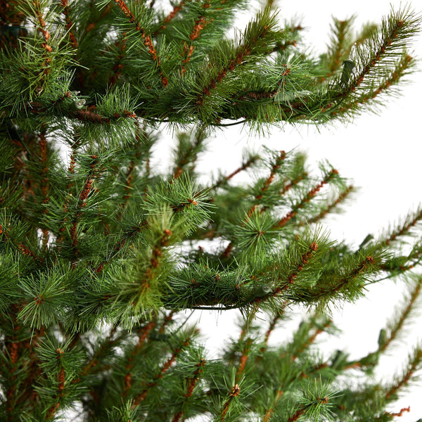 8’ Vancouver Mountain Pine Artificial Christmas Tree with 650 Clear Lights and 2199 Bendable Branches