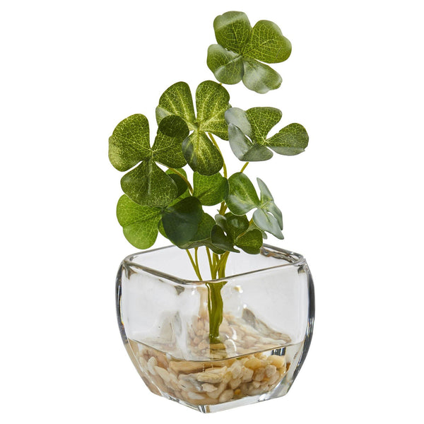 9” Clover Artificial Plant in Glass Planter (Set of 2)