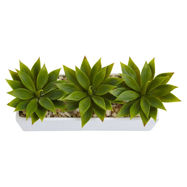 Agave Succulent in Rectangular Planter