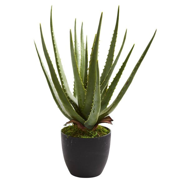 Aloe Artificial Plant (Set of 2)