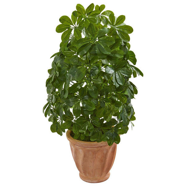 Baby Schefflera Artificial Plant in Terra Cotta Planter (Real Touch)