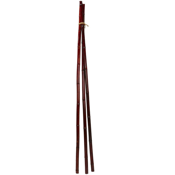 Bamboo Poles (Set of 6)