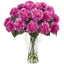 Blooming Carnation Arrangement w/Vase