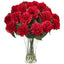 Blooming Carnation Arrangement w/Vase