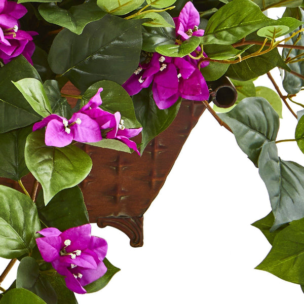 Bougainvillea in Metal Planter