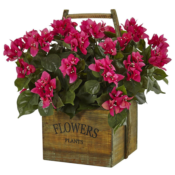 Bougainvillea in Rustic Wood Planter