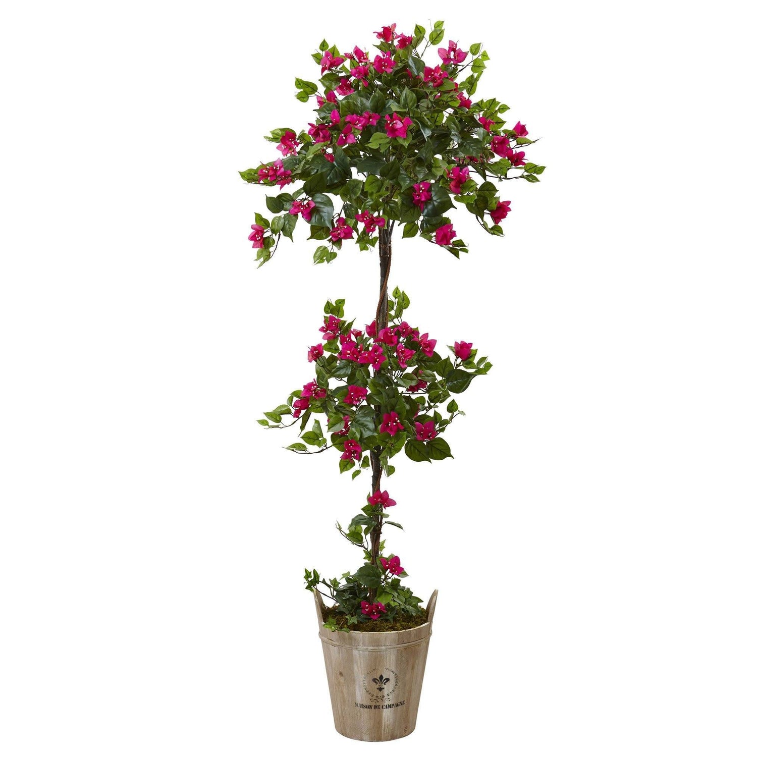 Bougainvillea Tree with European Barrel Planter