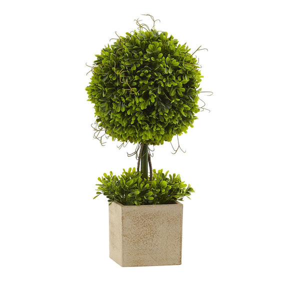 Boxwood Topiary w/Planter (Set of 2)