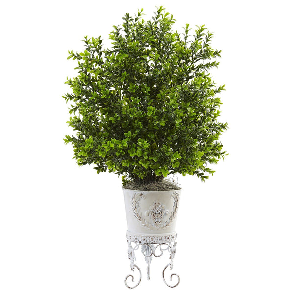 Boxwood with Metal Planter