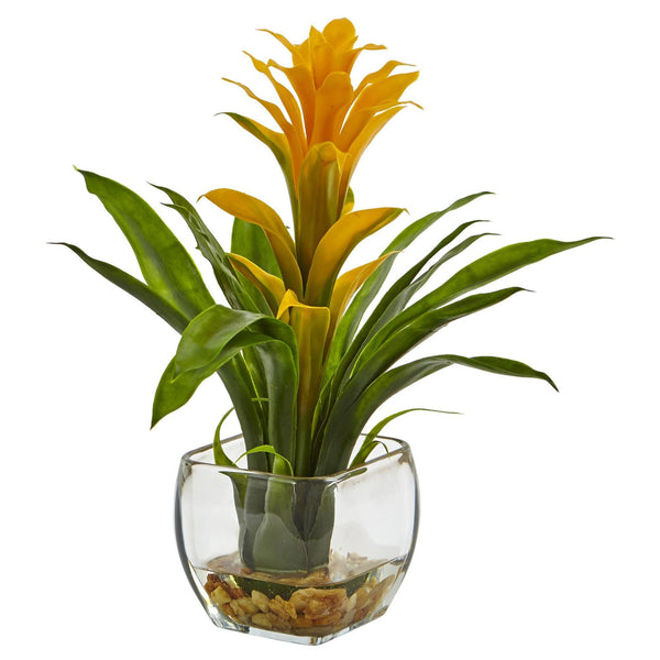 Bromeliad with Vase Arrangement