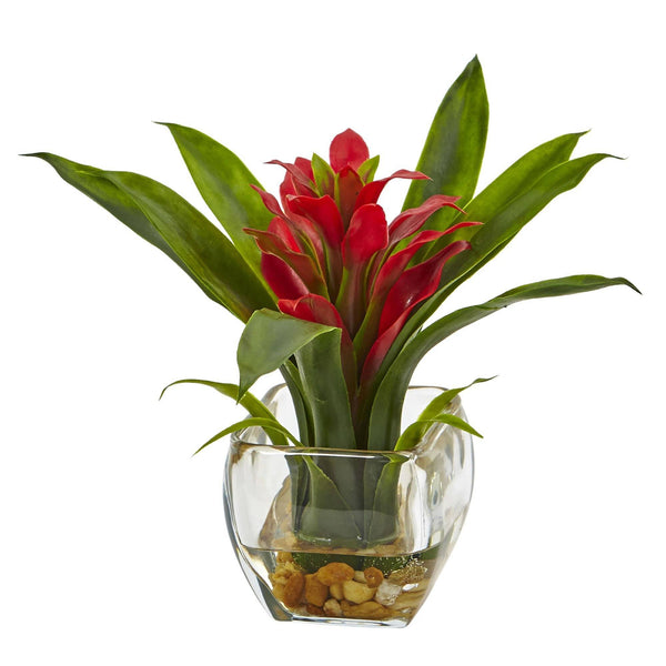 Bromeliad with Vase Arrangement (Set of 2)