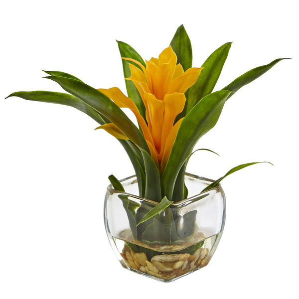 Bromeliad with Vase Arrangement (Set of 2)