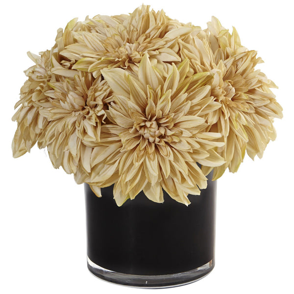 Dahlia Mum in Black Glossy Cylinder