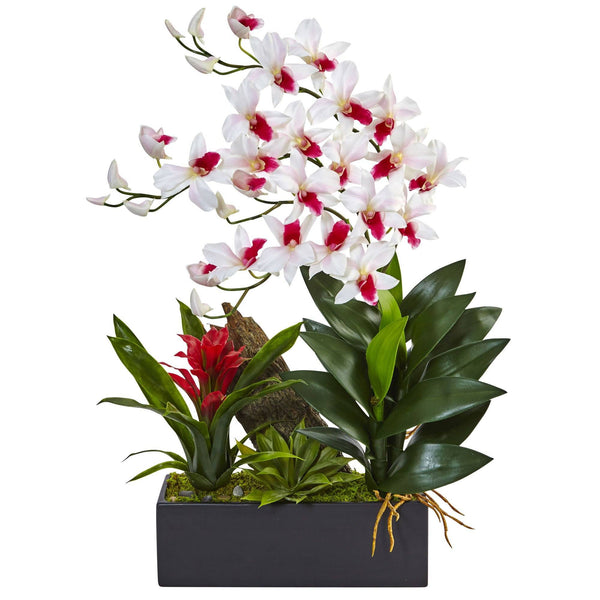 Dendrobium and Bromeliad Arrangement