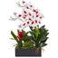 Dendrobium and Bromeliad Arrangement