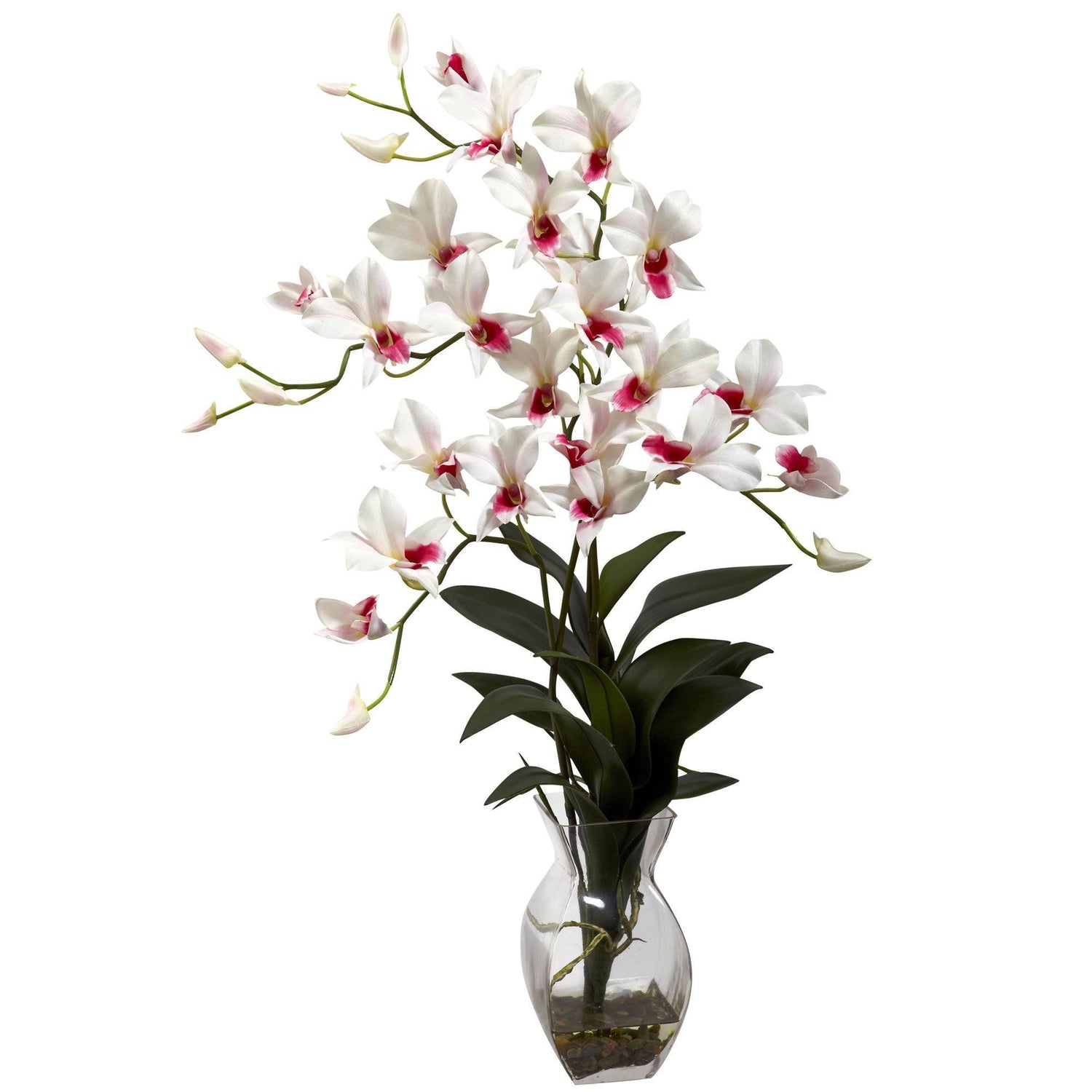 Dendrobium Orchid w/Vase Arrangement